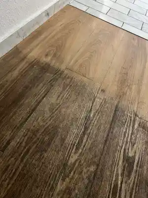 Testreinigung für Vinylböden.jpg