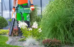 hausmeisterservice_filderstadt_DC_Dienstleistungen_7.jpg