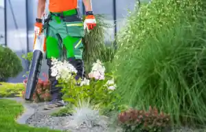 hausmeisterservice_filderstadt_DC_Dienstleistungen_2.jpg