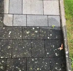 hausmeisterservice_lenting_Dua_Reinigungsservice_Ingolstadt_5.jpg