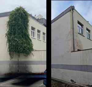 reinigungsfirma_hannover_KAYA_Gebäudemanagement_5.jpg