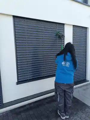 Reinigung von Außenjalousien & Raffstores – gründlich und materialscho.jpg