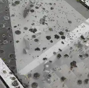 Grundreinigung von Glasdächern – Entfernung von Algen, Flechten.jpg