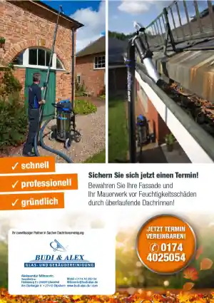 reinigungsfirma_lilienthal_BUDI_&_ALEX_Glas-_und_Gebäudereinigung_4.jpg