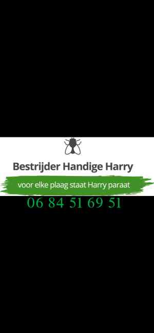 ongediertebestrijder_rotterdam_Bestrijder_Handige_Harry_7.jpg