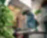 umzugsunternehmen_emsdetten_Jumove_-_Umzugsservice_5.jpg
