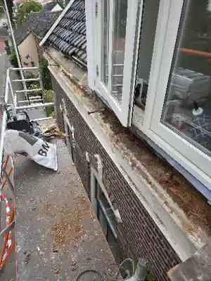 dakkapel renoveren + nieuwe goot.jpg