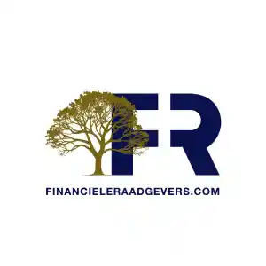De Financiële Raadgevers .jpg