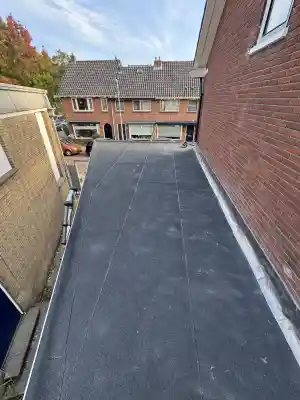 Plat dak bitumen compleet gerenoveerd.jpg