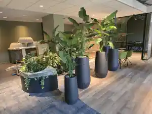 schoonmaakbedrijf_amsterdam_Easy_Clean_7.jpg