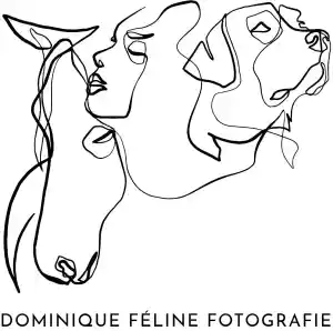 fotograaf_rotterdam_Dominique_Féline_Fotografie_7.jpg