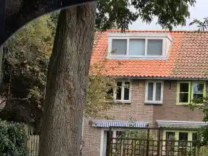 pannen dak met isolatie .jpg