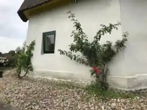 Molen injecteren .jpg