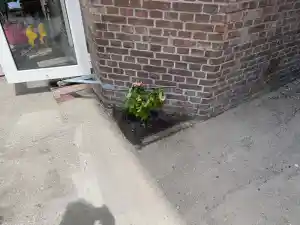 vochtbestrijding_den-haag_Den_Heijer_Vochtwering_5.jpg