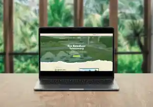 webdesign_willebroek_Stinis_Media_6.jpg