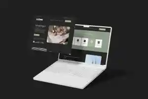webdesign_willebroek_Stinis_Media_4.jpg