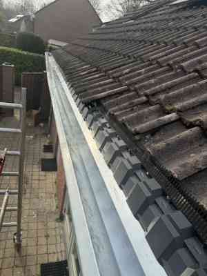 Zinken dakgoten + regenpijpen + vogelwerende dakprofielen.jpg