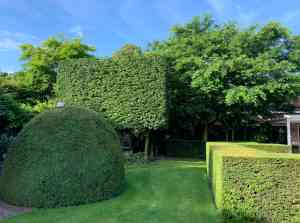hovenier_laren_Infra_en_tuin_techniek_7.jpg