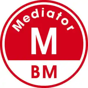 mediator_k%C3%B6ln_RheinMediation_4.jpg