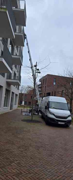 verhuisfirma_turnhout_A.A._EXPRESS_-_VERHUIS_BV_6.jpg
