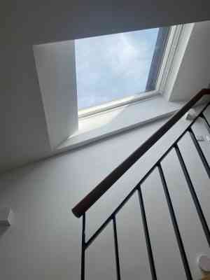 Fensterreinigung .jpg