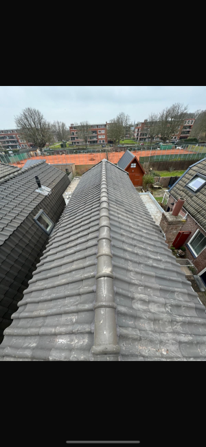 Pannendak Renovatie Alkmaar.jpg