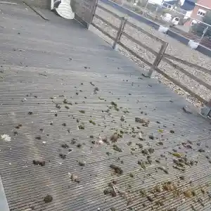 schoonmaakbedrijf_hemiksem_Clean_O_Clean_4.jpg