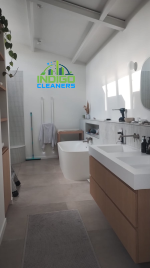 schoonmaakbedrijf_amsterdam_Indigo_cleaners_4.jpg