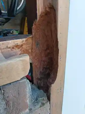 Grote houtrot reparatie..jpg