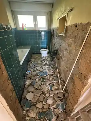 kammerjager_soest_Schädlingsbekämpfung_NICOLIN_Soest_|_IHK_geprüft_4.jpg