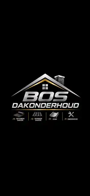 dakgoot_heesch_Bos_Dakonderhoud_3.jpg
