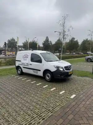 schilder_uden_Delano_De_Schilder_3.jpg