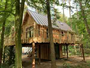 meubelmaker_veghel_Raber_Wood_Design_2.jpg