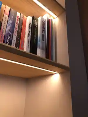 Wandkast met verborgen TV.jpg