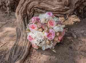 fotograf_hohenwarthe_J._Sue_Photography_7.jpg