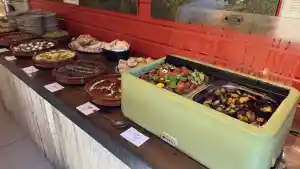catering_hilversum_vega_paradijs_2.jpg