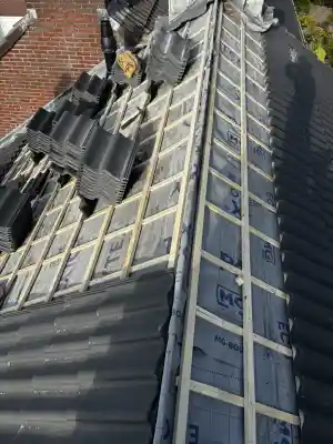 dakdekker_vught_Vughtdakonderhoud_6.jpg