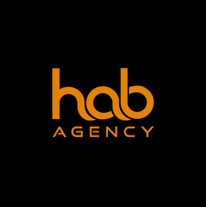 webdesign_sint-geertruid_Hab_Agency_2.jpg