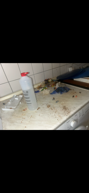 Grundreinigung & Hygienereinigung.jpg