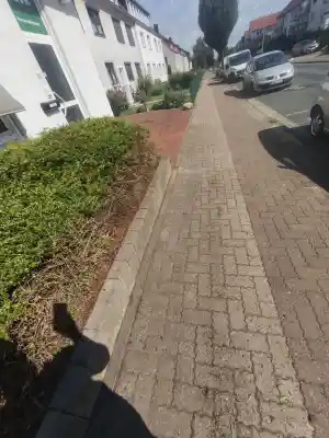 gartner_nienst%C3%A4dt_SGP_Gebäudeservice_6.jpg