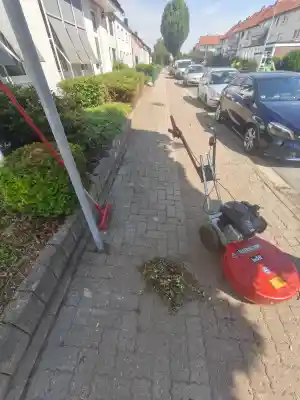 gartner_nienst%C3%A4dt_SGP_Gebäudeservice_5.jpg