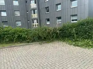 reinigungsfirma_essen_Katharos_Reinigung_3.jpg