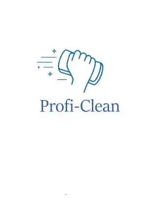 reinigungsfirma_mainz_Profi-Clean_2.jpg