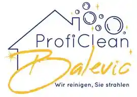 reinigungsfirma_adendorf_ProfiClean_Balevic_2.jpg