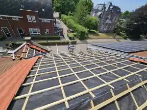 dakdekker_veghel_duurzaam_dakonderhoud__5.jpg