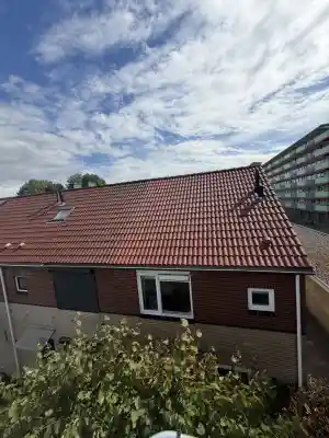 Dakreiniging Haarlem .jpg