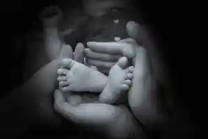 Newborn-Shooting .jpg