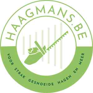 tuinaanleg-en-tuinonderhoud_sint-niklaas-nieuwkerken-waas_Haagmans_2.jpg