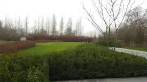 tuinaanleg-en-tuinonderhoud_sint-niklaas-belsele_Fine_Gardens_4.jpg