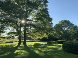 tuinaanleg-en-tuinonderhoud_sint-niklaas-belsele_Fine_Gardens_7.jpg